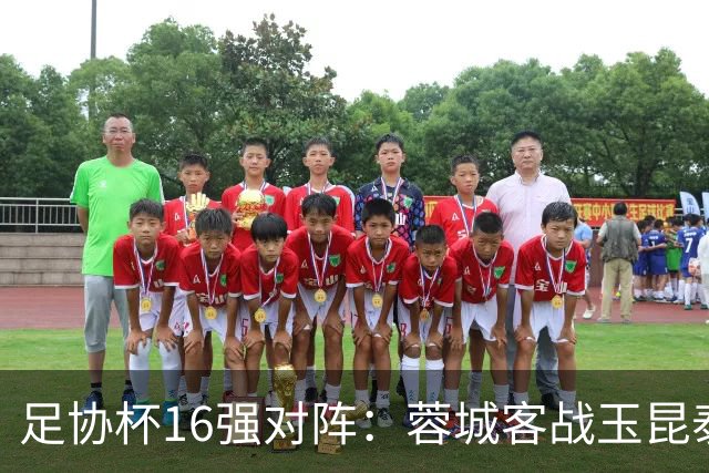 足协杯16强对阵：蓉城客战玉昆泰山战三镇 国安遭遇中乙队